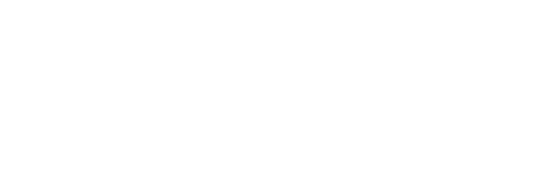 Naslovna - Vivo Turizam logo